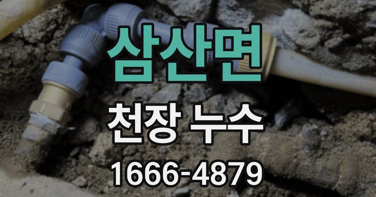 삼산면 천장 누수