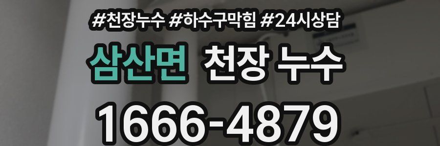 삼산면 천장 누수