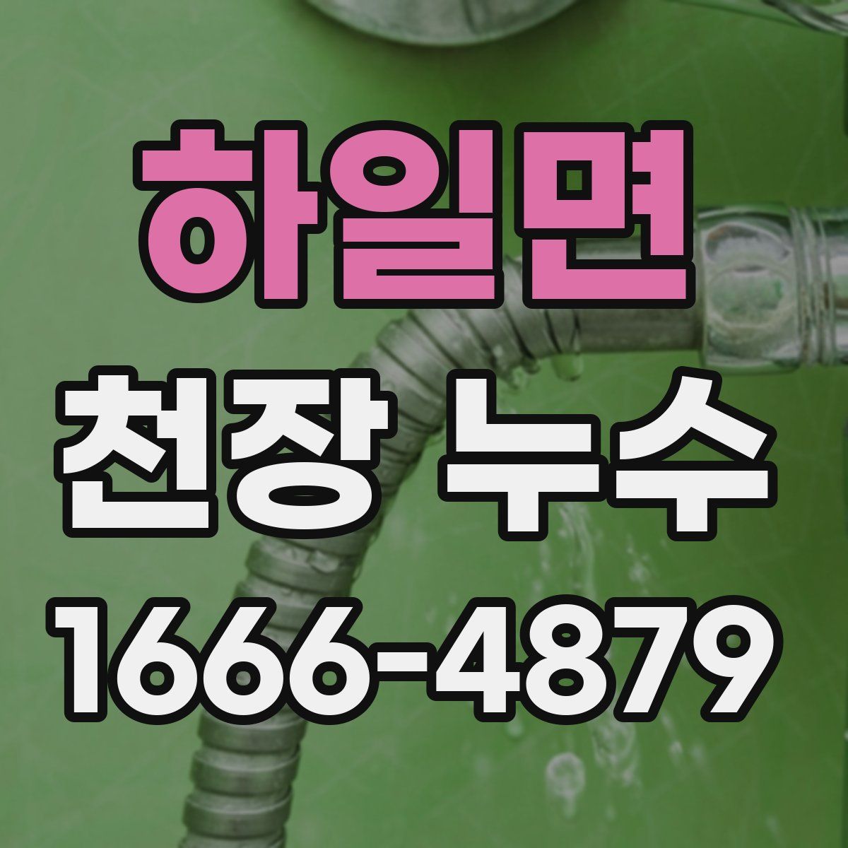 하일면 천장 누수