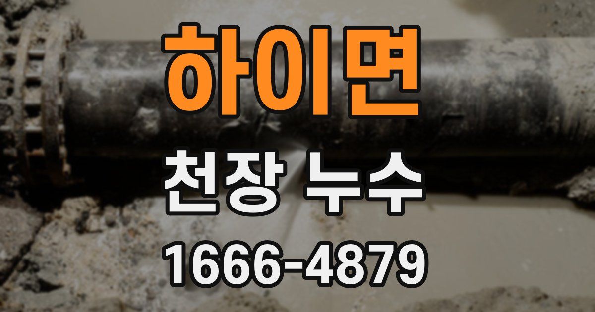 하이면 천장 누수