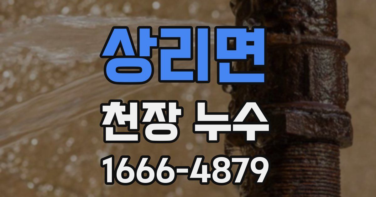 상리면 천장 누수