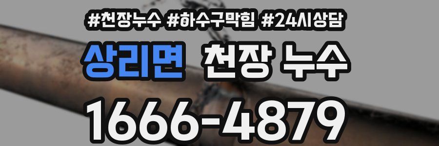 상리면 천장 누수