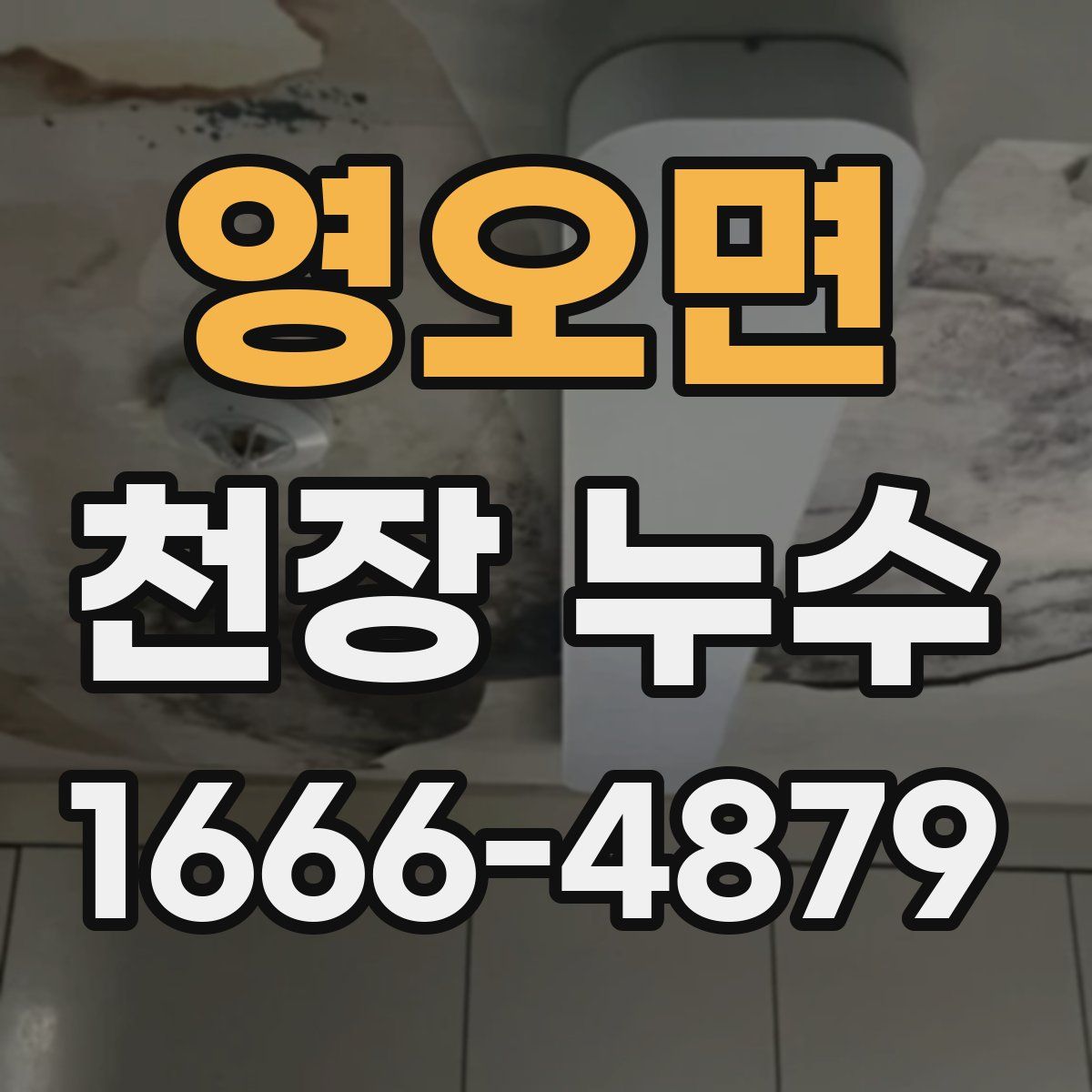 영오면 천장 누수