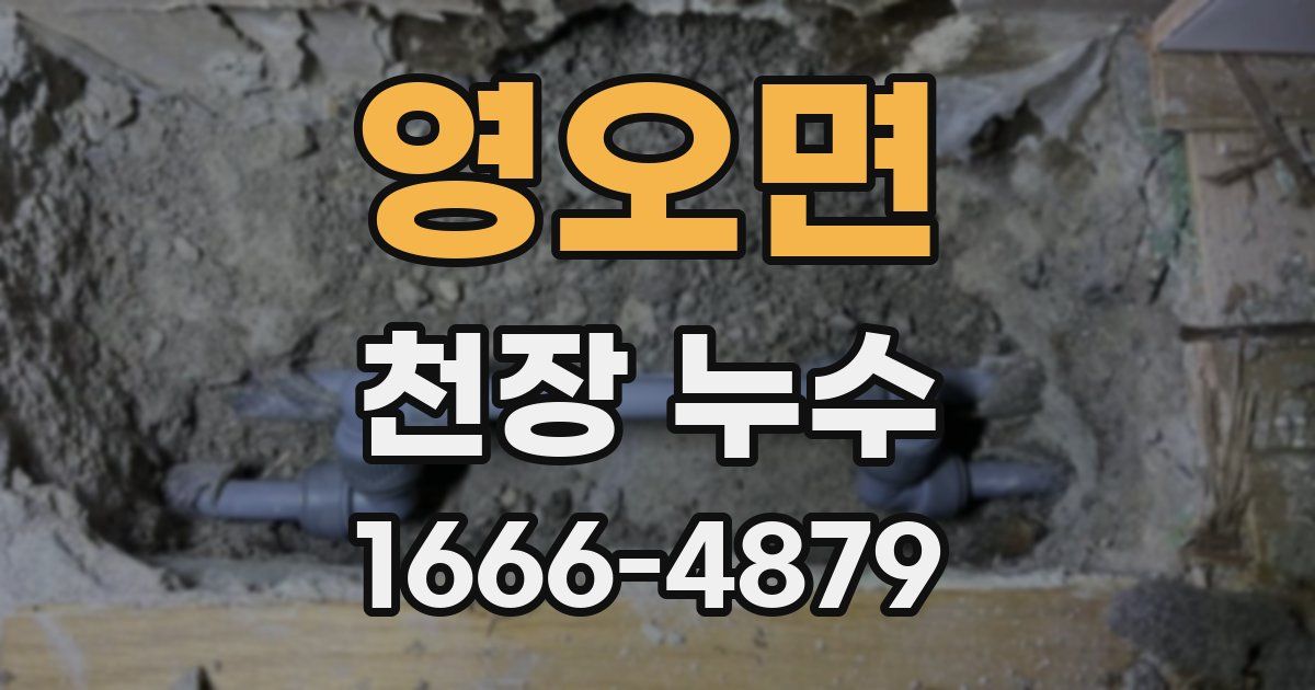 영오면 천장 누수