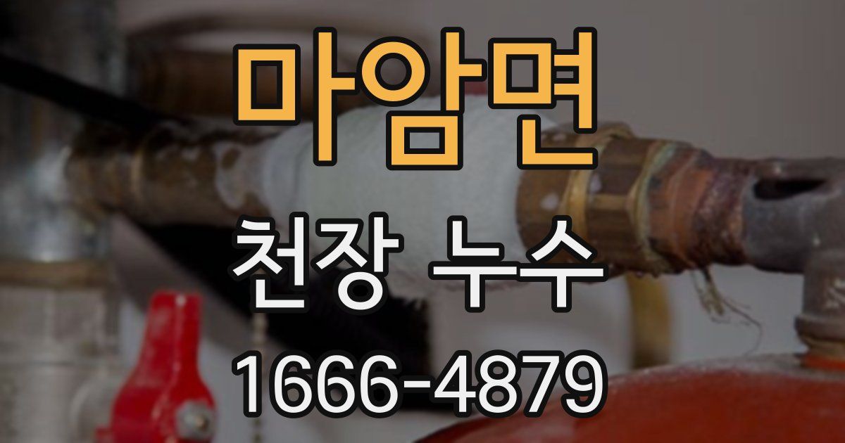 마암면 천장 누수