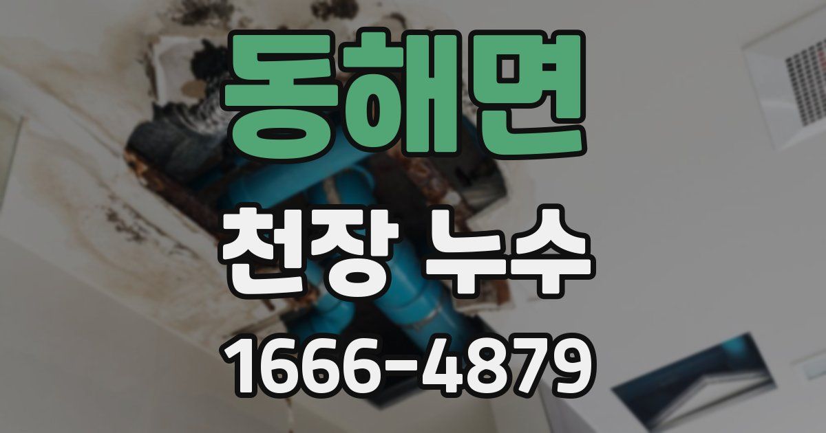 동해면 천장 누수