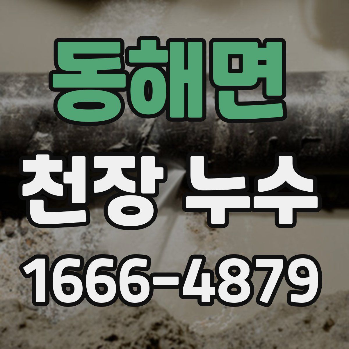 동해면 천장 누수