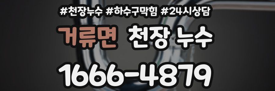 거류면 천장 누수