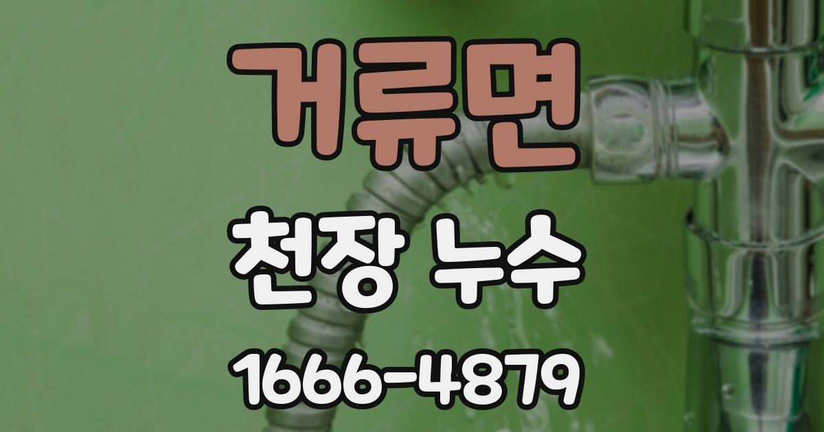 거류면 천장 누수