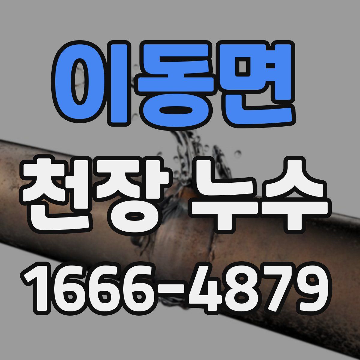 이동면 천장 누수