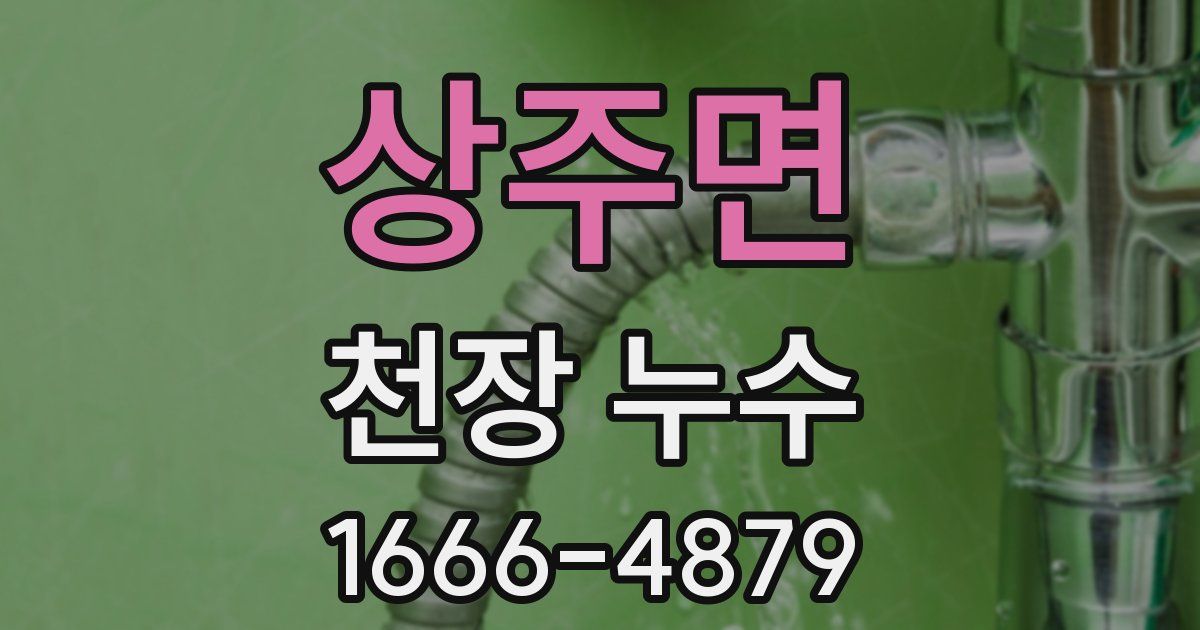 상주면 천장 누수