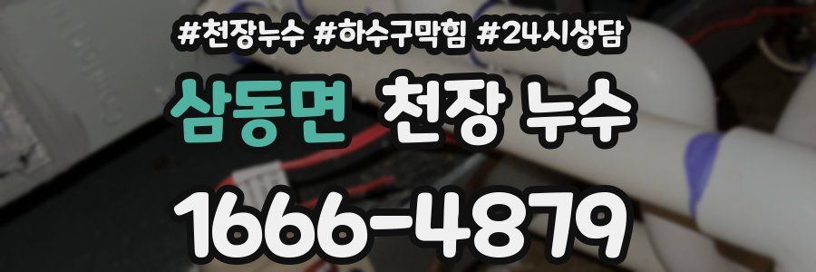 삼동면 천장 누수