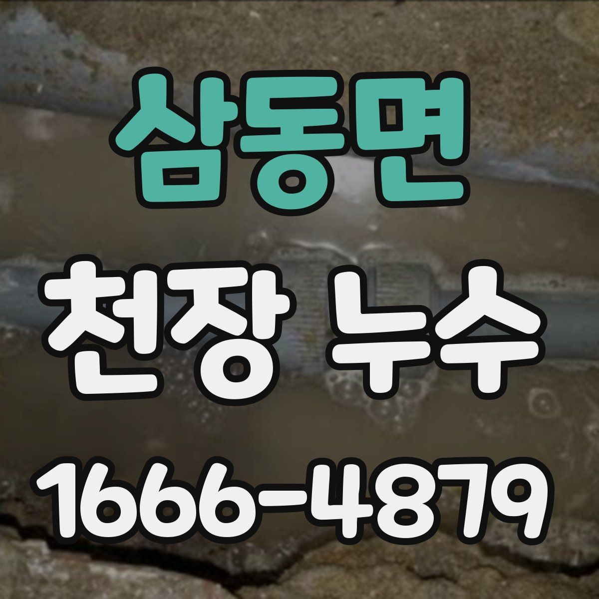 삼동면 천장 누수