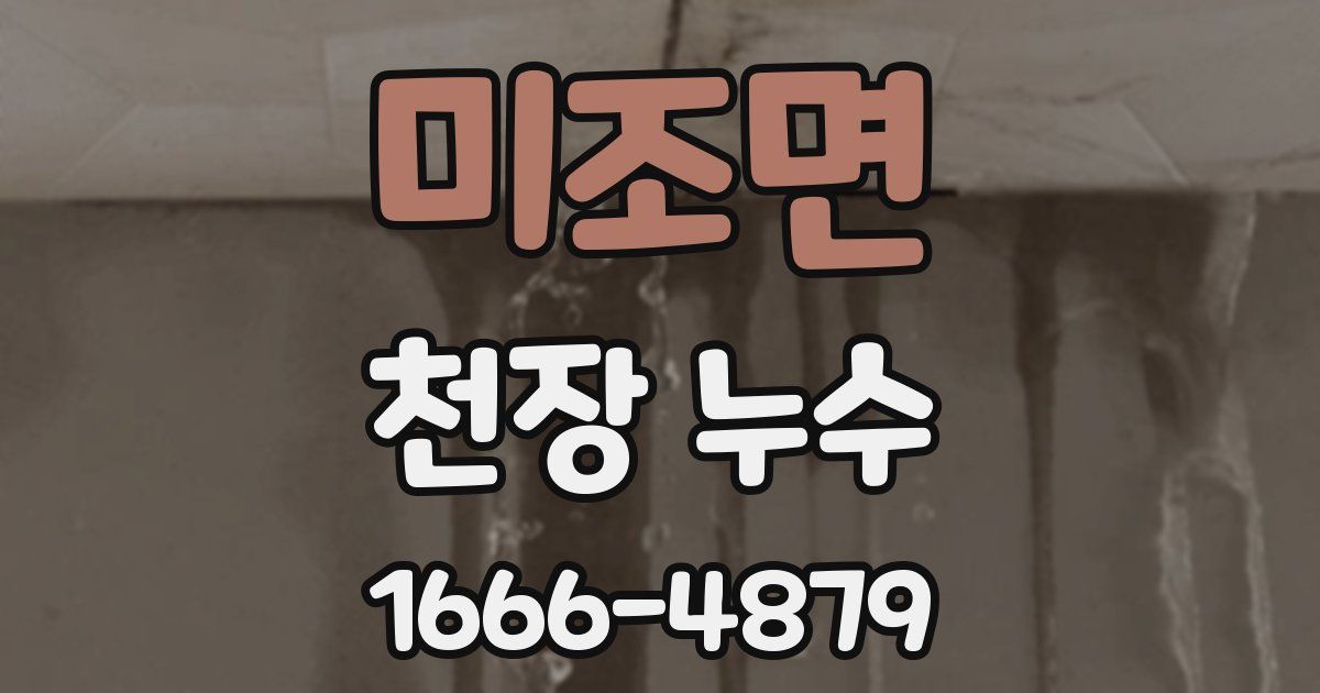 미조면 천장 누수