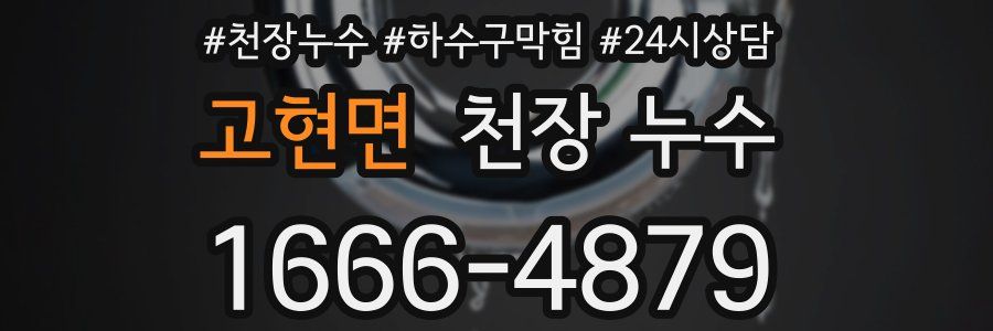 고현면 천장 누수