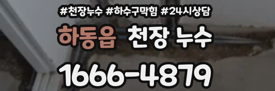 하동읍 천장 누수