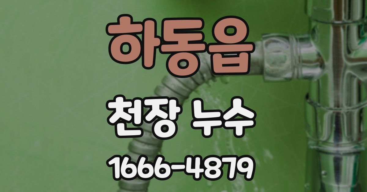 하동읍 천장 누수