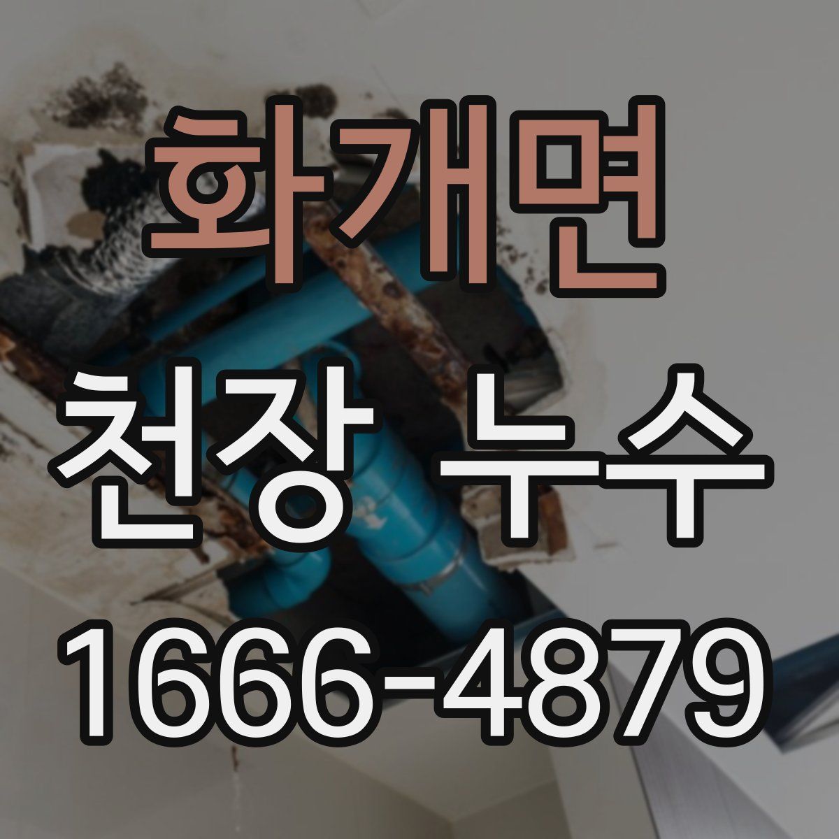 화개면 천장 누수