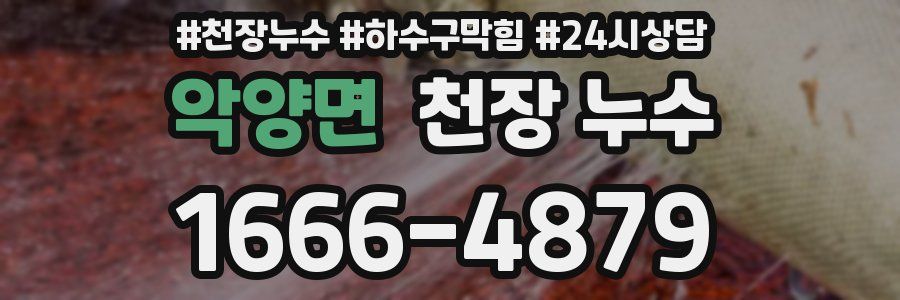 악양면 천장 누수