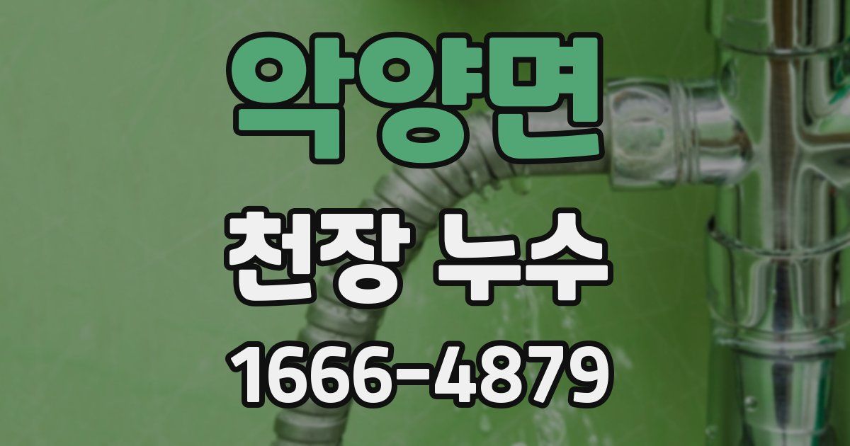 악양면 천장 누수