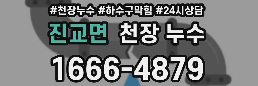 진교면 천장 누수