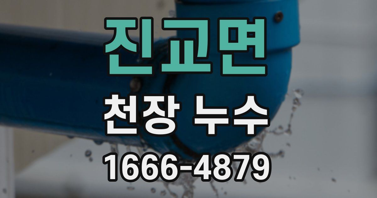 진교면 천장 누수