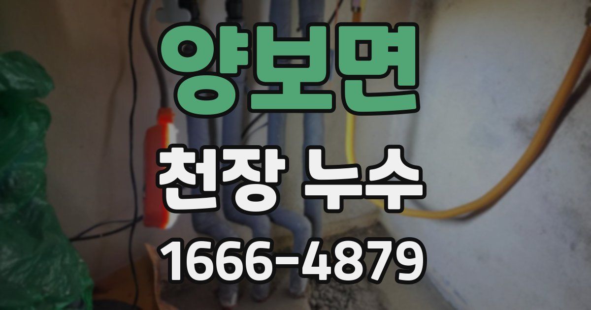 양보면 천장 누수