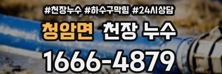 청암면 천장 누수