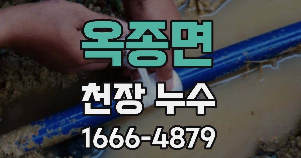 옥종면 천장 누수