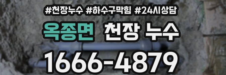 옥종면 천장 누수