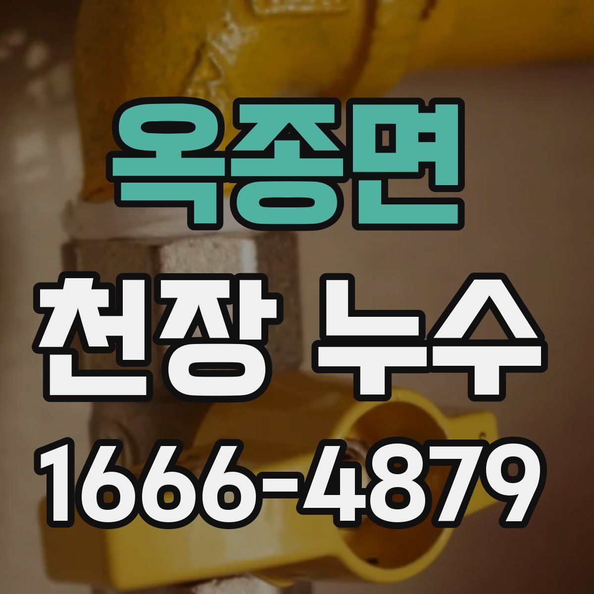 옥종면 천장 누수