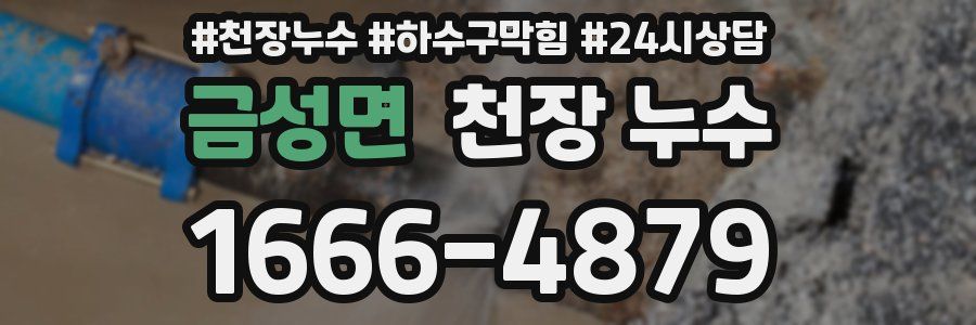 금성면 천장 누수