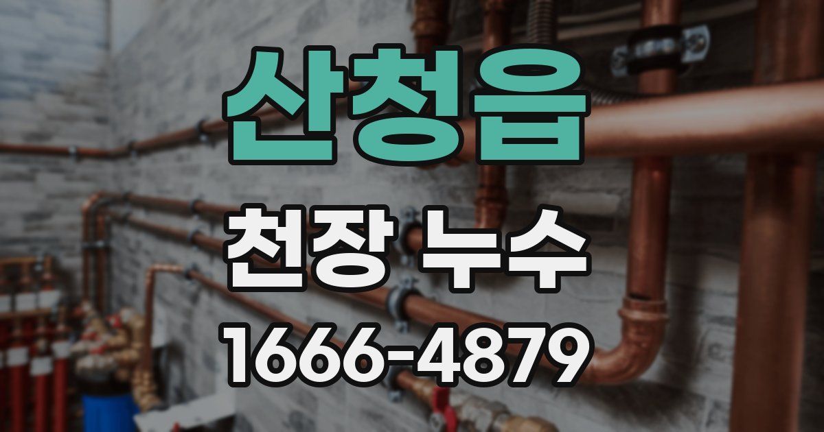 산청읍 천장 누수