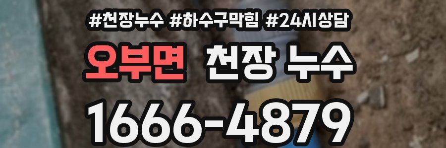 오부면 천장 누수