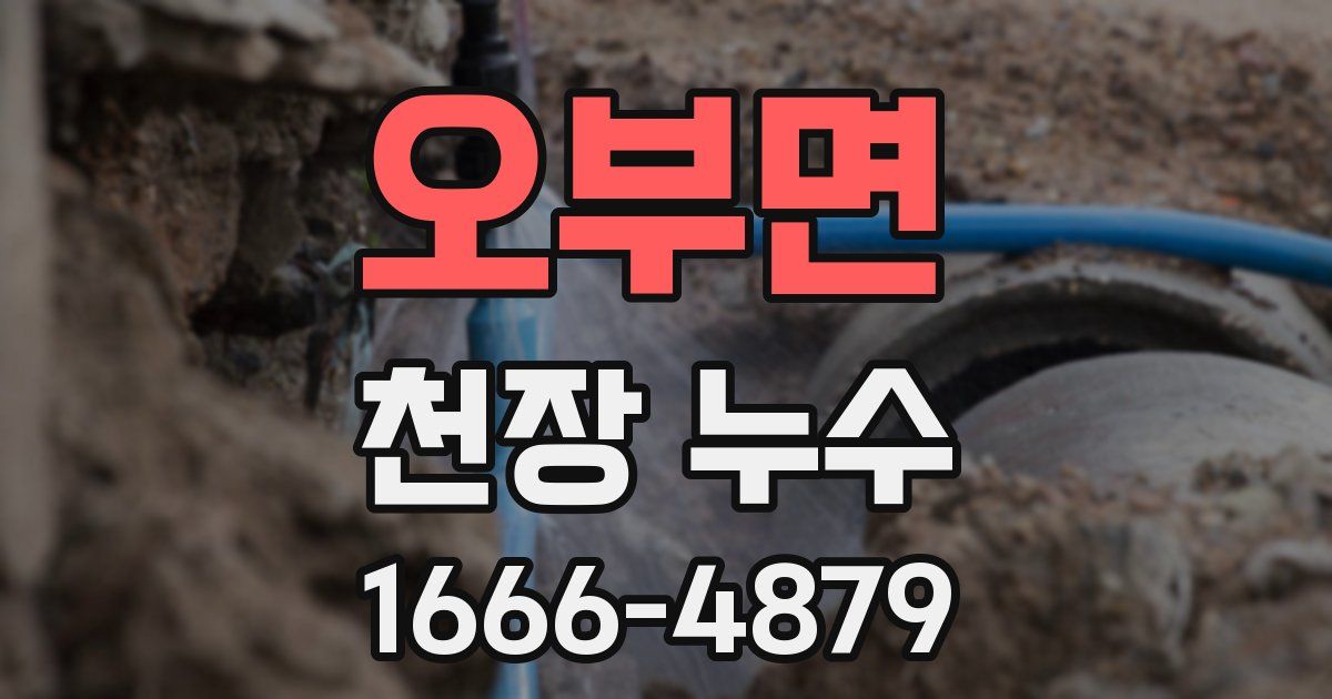 오부면 천장 누수