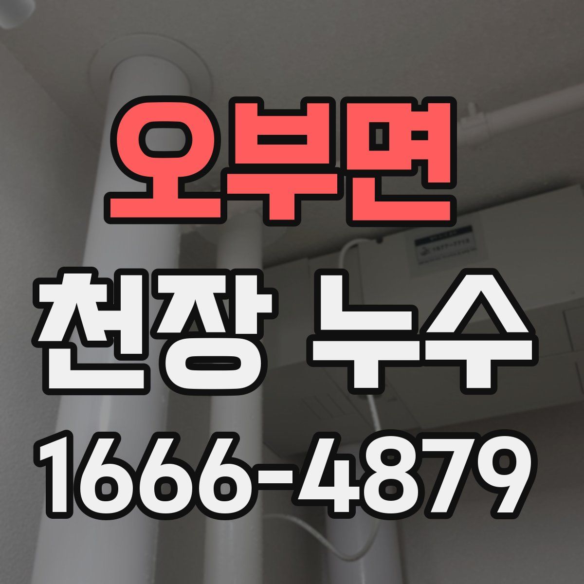 오부면 천장 누수