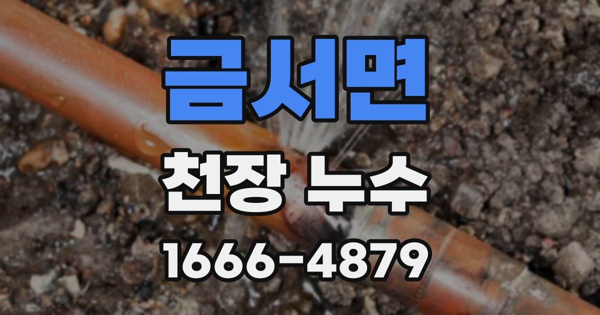 금서면 천장 누수