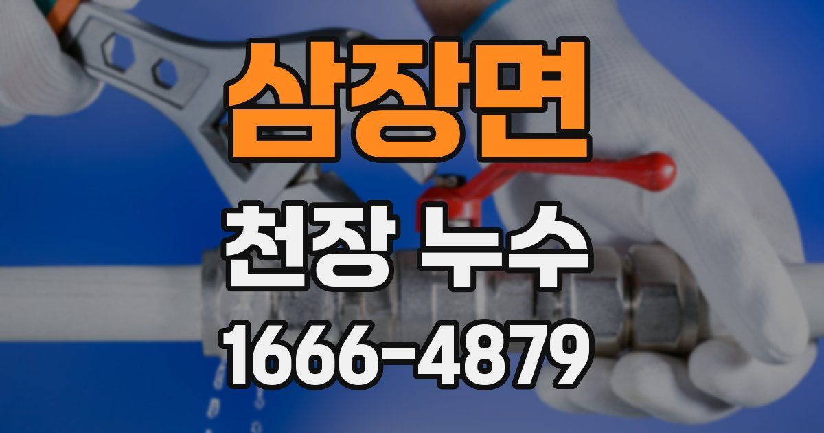 삼장면 천장 누수