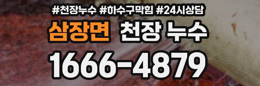 삼장면 천장 누수