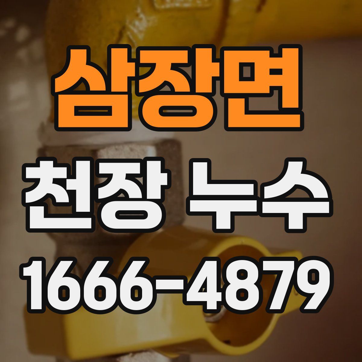 삼장면 천장 누수