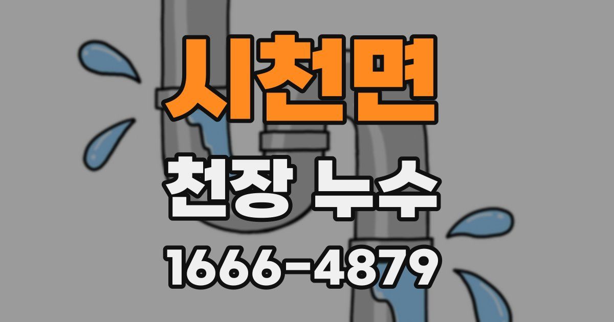 시천면 천장 누수