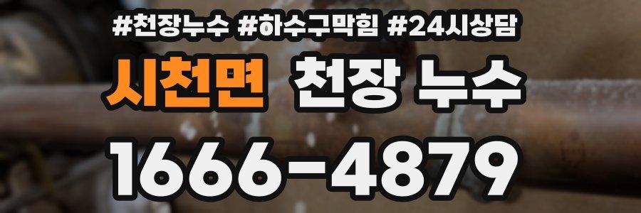 시천면 천장 누수