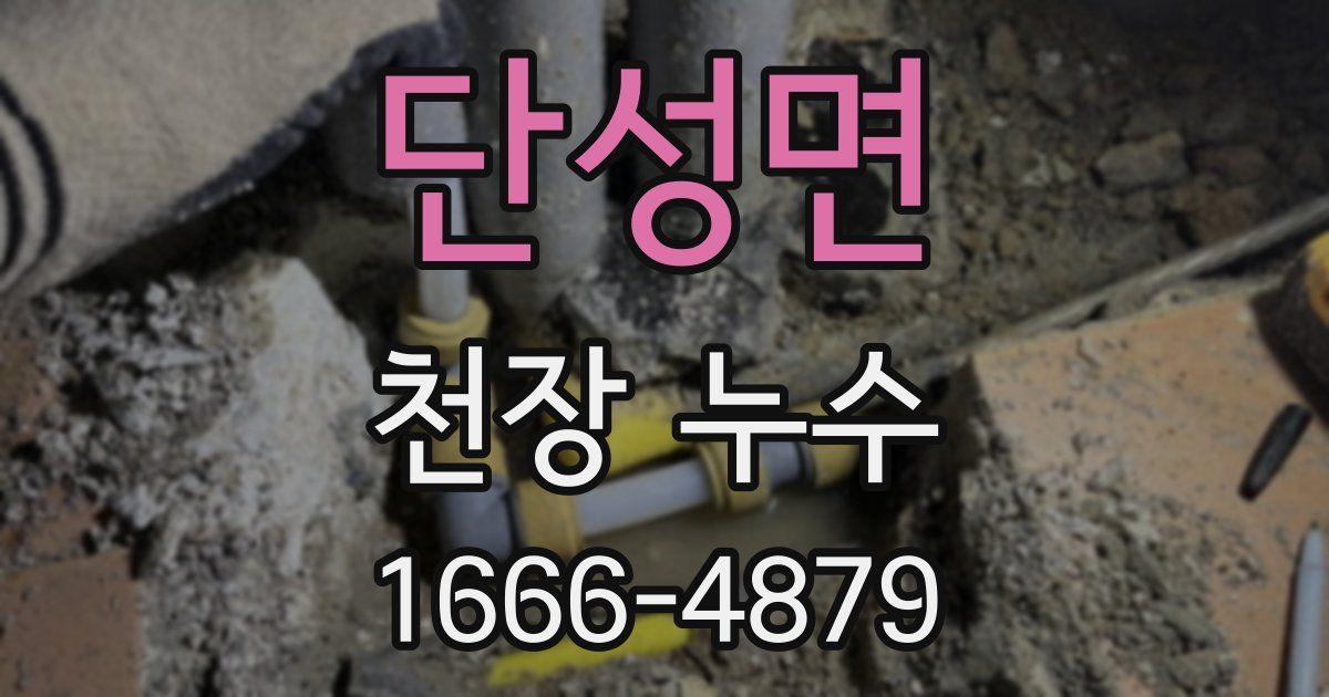 단성면 천장 누수