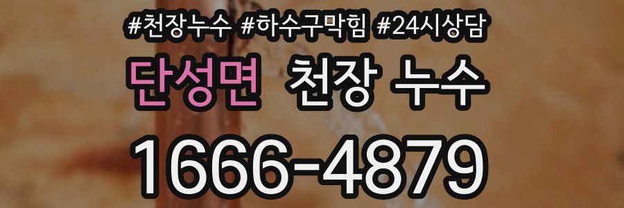 단성면 천장 누수