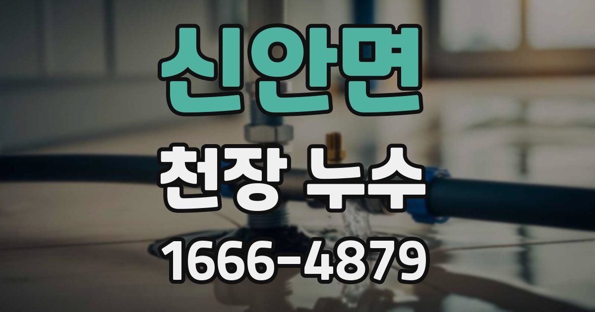 신안면 천장 누수