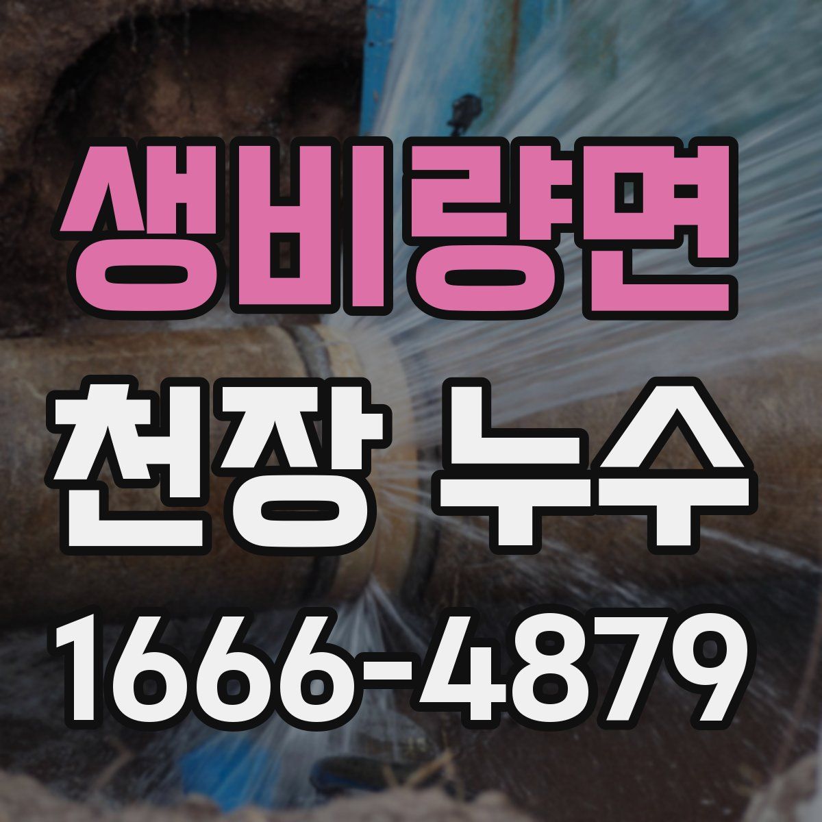 생비량면 천장 누수