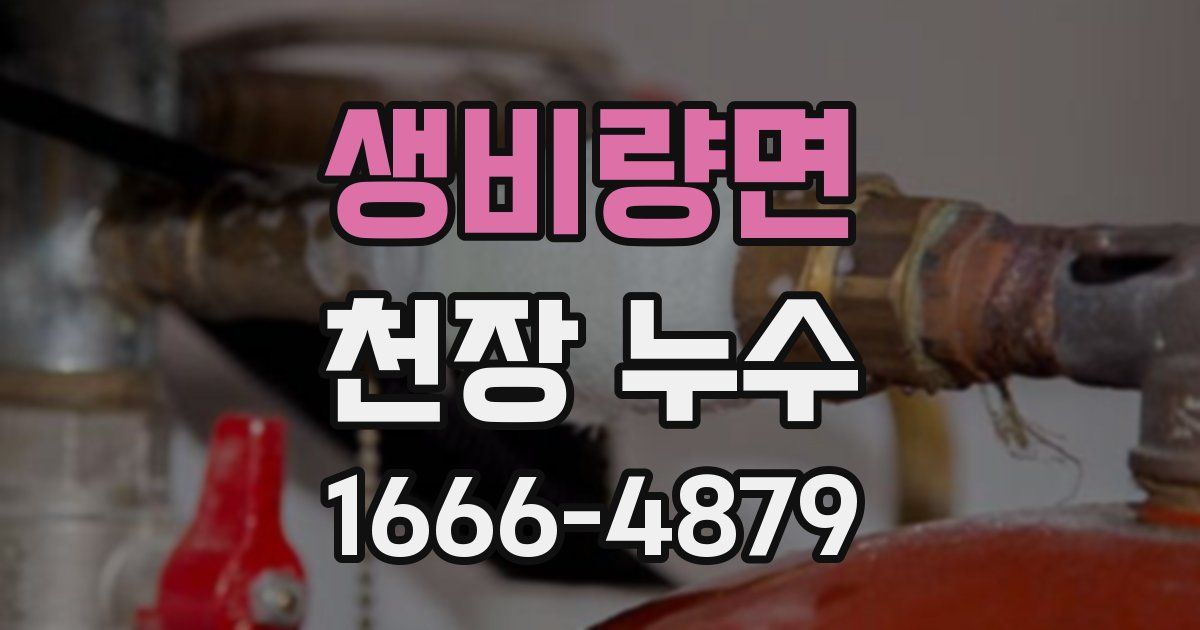 생비량면 천장 누수