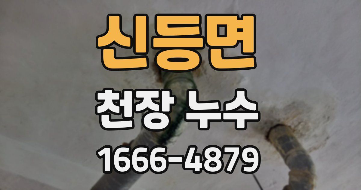 신등면 천장 누수