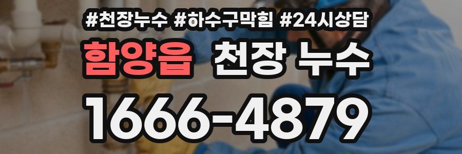 함양읍 천장 누수