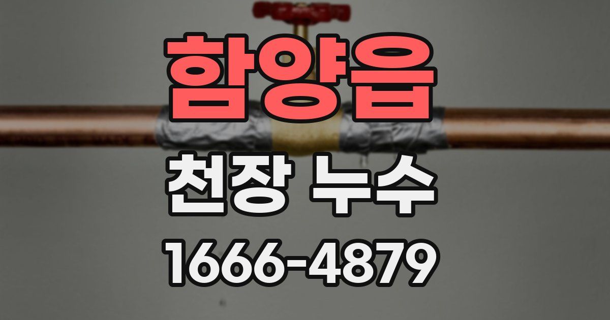 함양읍 천장 누수